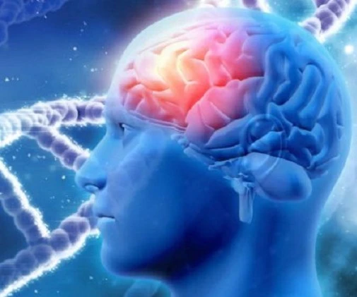 الطرق المزدحمة تزيد مخاطر الإصابة بالخرف الطرق المزدحمة تزيد مخاطر الإصابة بالخرف