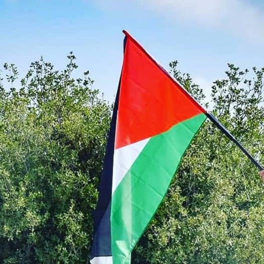 علم فلسطين في كل مسار علم فلسطين في كل مسار