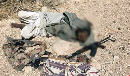 الجيش المصري يعلن مقتل أمير ولاية سيناء ناصر أبو زقول الجيش المصري يعلن مقتل أمير ولاية سيناء ناصر أبو زقول