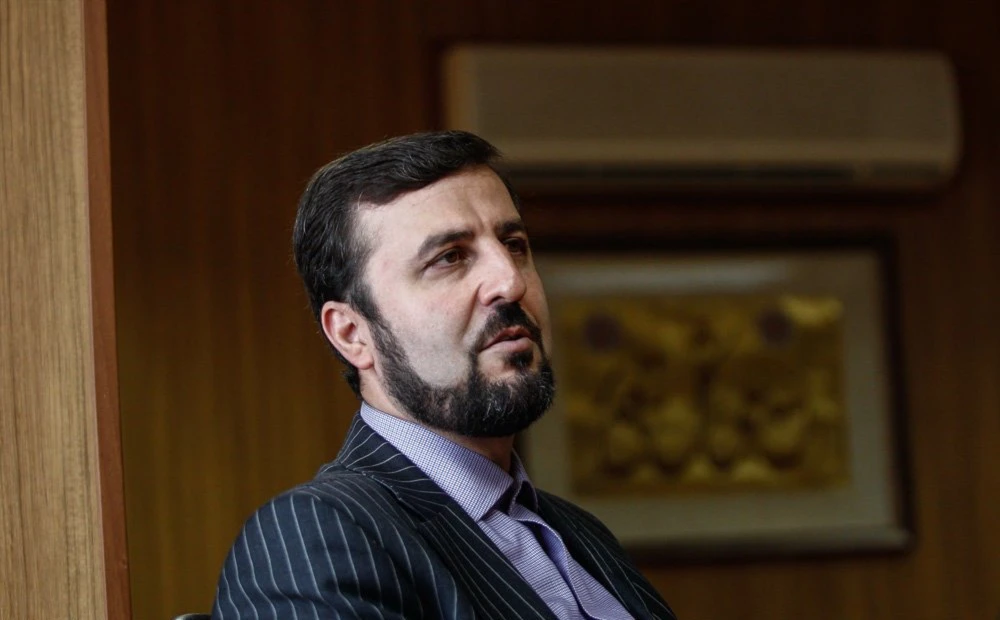 آبادي: من الضروري إيجاد منطقة منزوعة من السلاح النووي في الشرق الأوسط آبادي: من الضروري إيجاد منطقة منزوعة من السلاح النووي في الشرق الأوسط