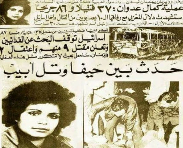 "عروس حيفا" من عرض البحر: إنها فلسطين! "عروس حيفا" من عرض البحر: إنها فلسطين!