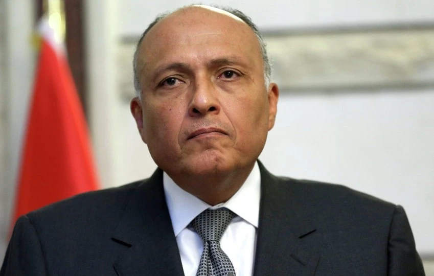 شكري: لا شروط لمصر لعودة سوريا إلى الجامعة العربية شكري: لا شروط لمصر لعودة سوريا إلى الجامعة العربية