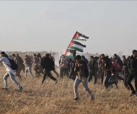 نحو نسخة سورية من الحركة الفلسطينية لمقاطعة إسرائيل "BDS" نحو نسخة سورية من الحركة الفلسطينية لمقاطعة إسرائيل "BDS"