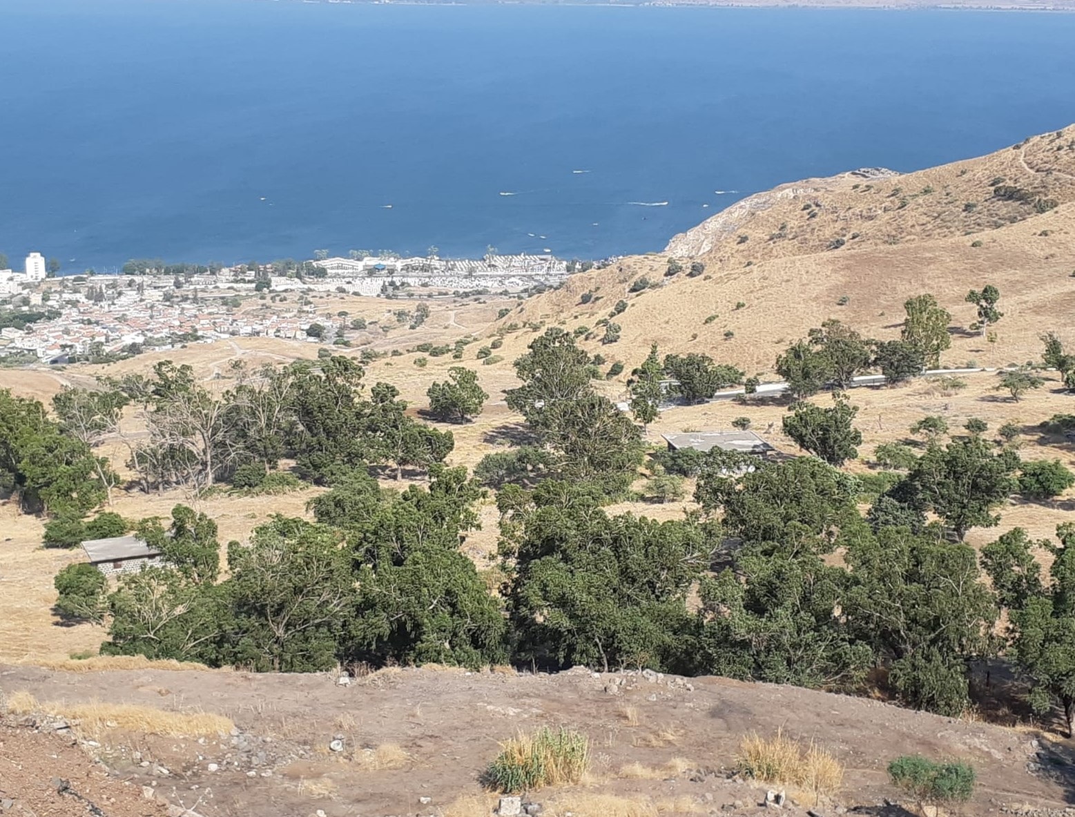 زاوية أخرى من قرية ناصر الدين المهجرة والمدمرة زاوية أخرى من قرية ناصر الدين المهجرة والمدمرة