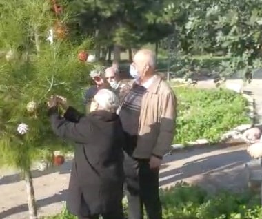 تزيين شجرة الميلاد في الدامون المهجرة لأول مرة منذ النكبة تزيين شجرة الميلاد في الدامون المهجرة لأول مرة منذ النكبة
