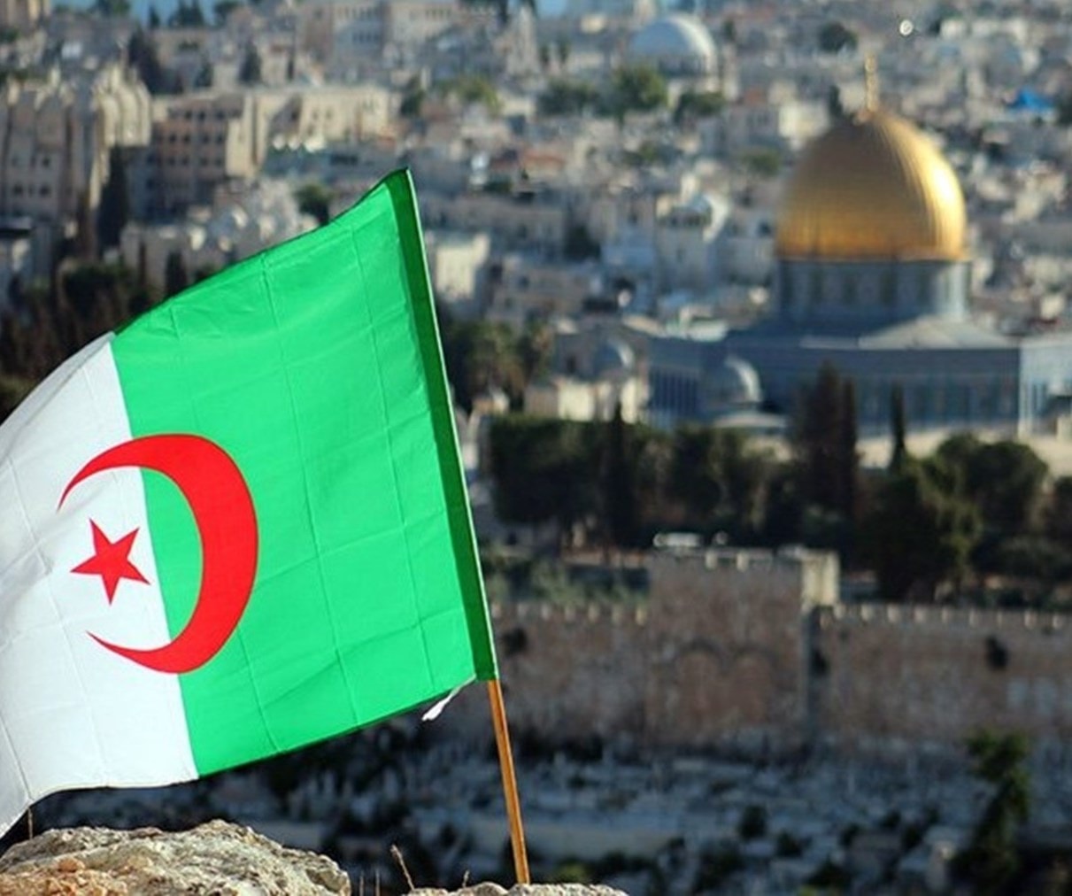 الجزائر تنسحب من اجتماع برلمان البحر المتوسط بسبب "إسرائيل" الجزائر تنسحب من اجتماع برلمان البحر المتوسط بسبب "إسرائيل"