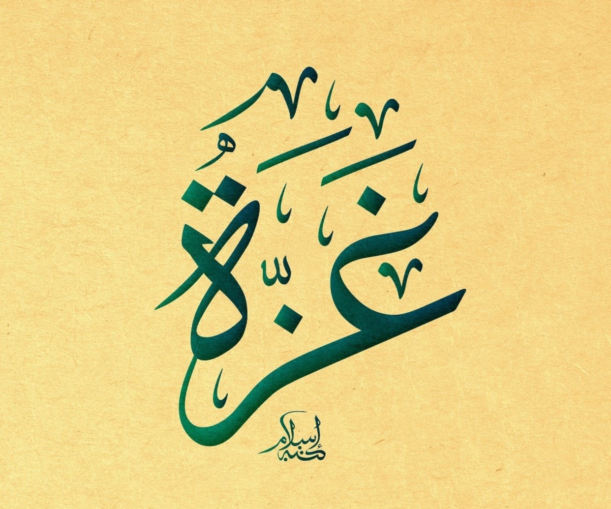 غزة غزة