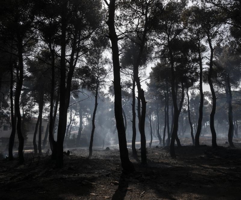 حريق غابات يهدد منازل في الضاحية الشمالية لأثينا حريق غابات يهدد منازل في الضاحية الشمالية لأثينا