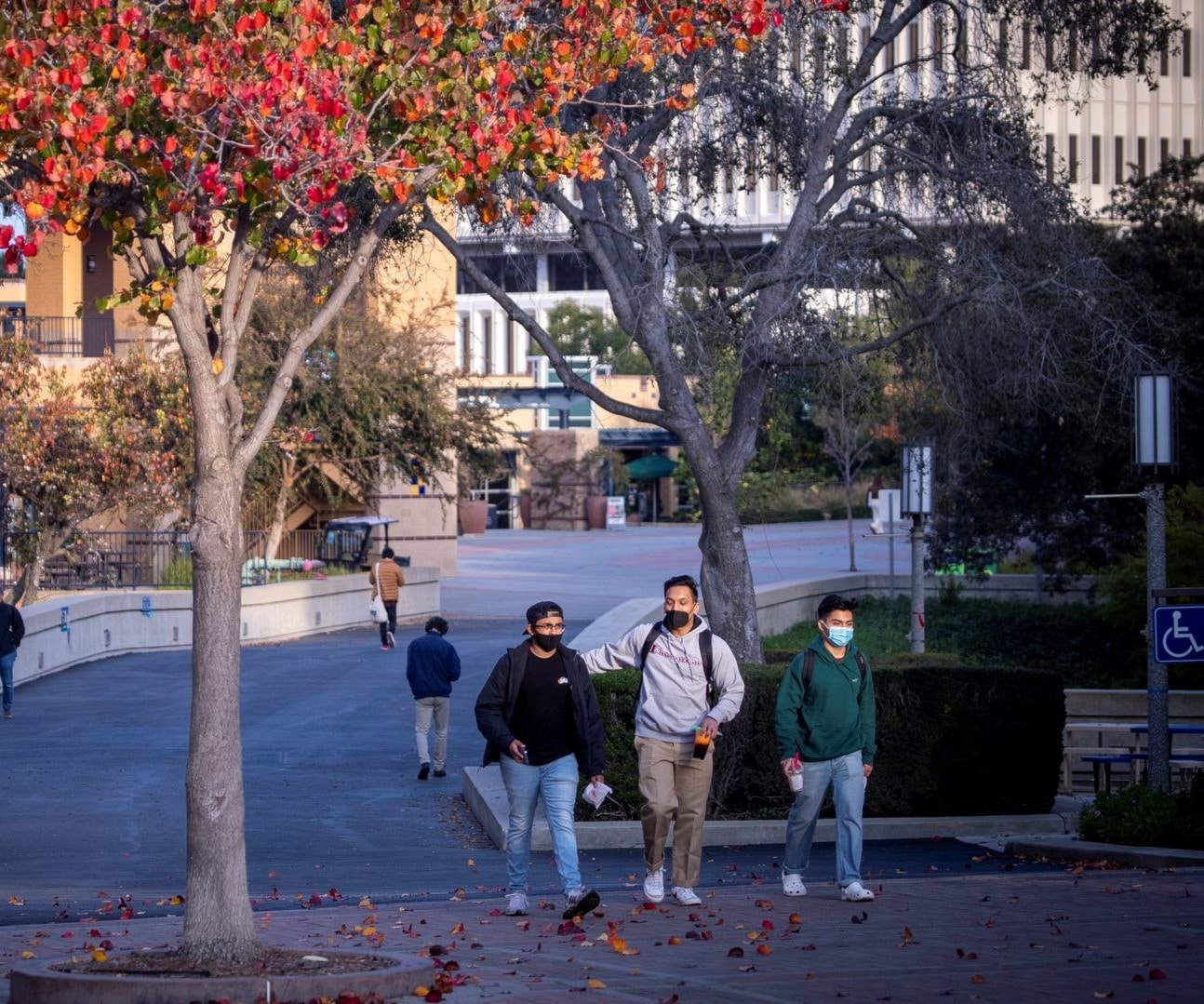 طلاب في وسط الحرم الجامعي شبه الفارغ لجامعة كاليفورنيا. طلاب في وسط الحرم الجامعي شبه الفارغ لجامعة كاليفورنيا.