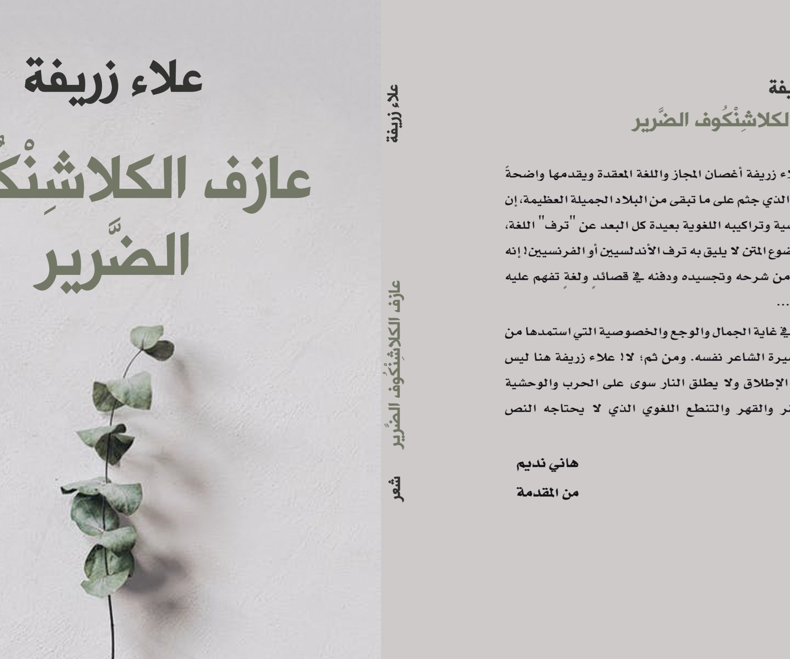 زريفة يصدر "عازف الكلاشينكوف الضرير" زريفة يصدر "عازف الكلاشينكوف الضرير"