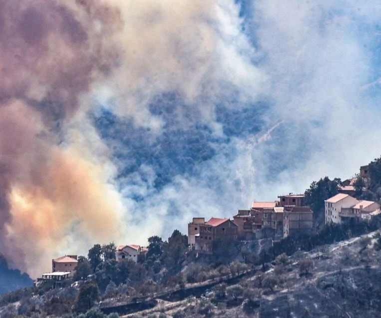 حصيلة ضحايا حرائق الغابات في الجزائر ترتفع إلى 26 شخصاً حصيلة ضحايا حرائق الغابات في الجزائر ترتفع إلى 26 شخصاً