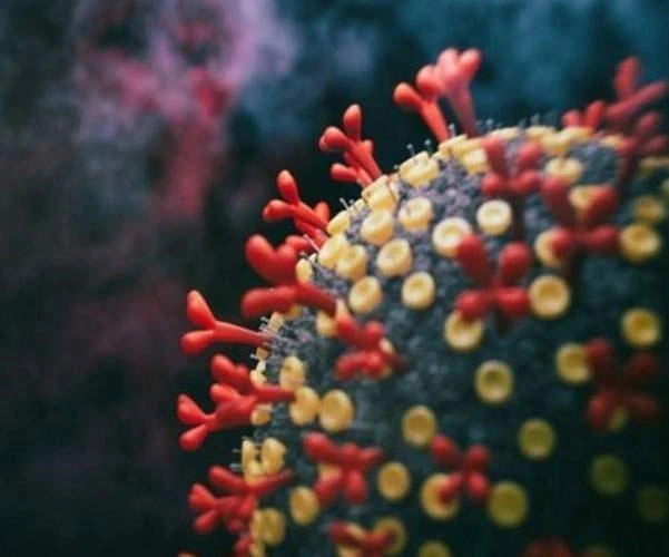 باحثون يكتشفون جيناً يقلل مخاطر الوفاة بكورونا باحثون يكتشفون جيناً يقلل مخاطر الوفاة بكورونا